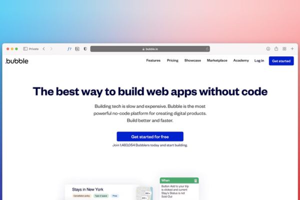 Can You Rely On One Developer Only For Your Entire Web Project